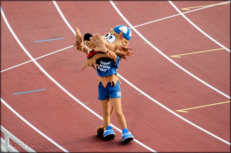 2008-08-30_MAAOTTELU_15.jpg