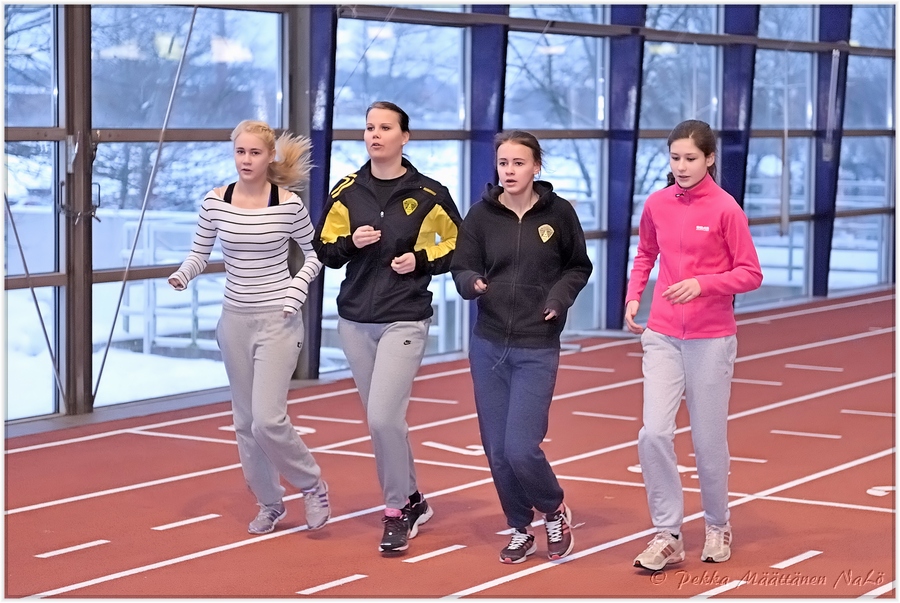 2013-01-23_pm-halliviestit (17).jpg