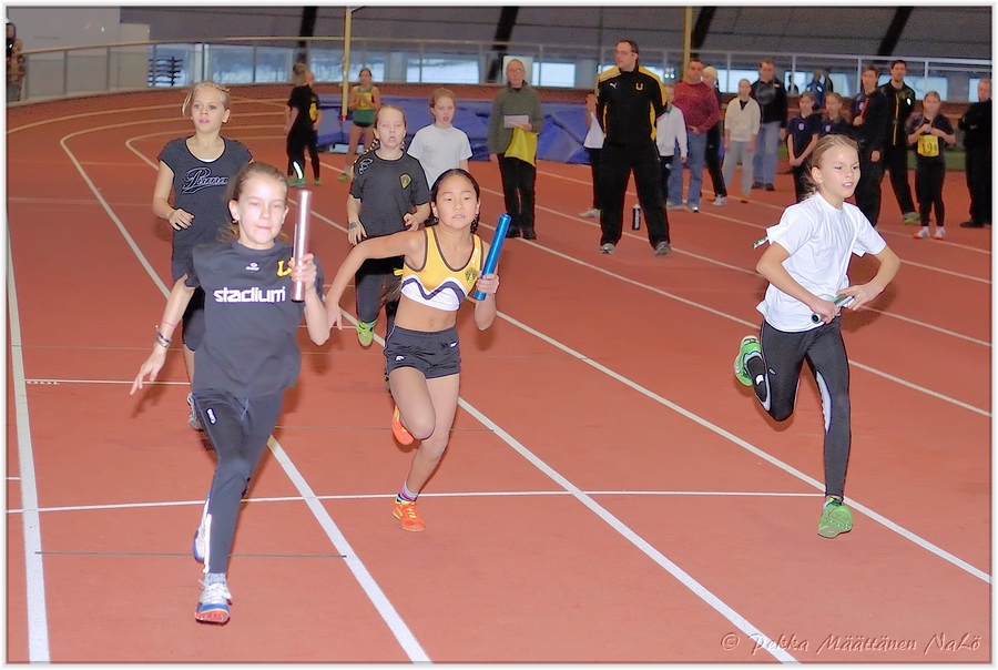 2013-01-23_pm-halliviestit (3).jpg