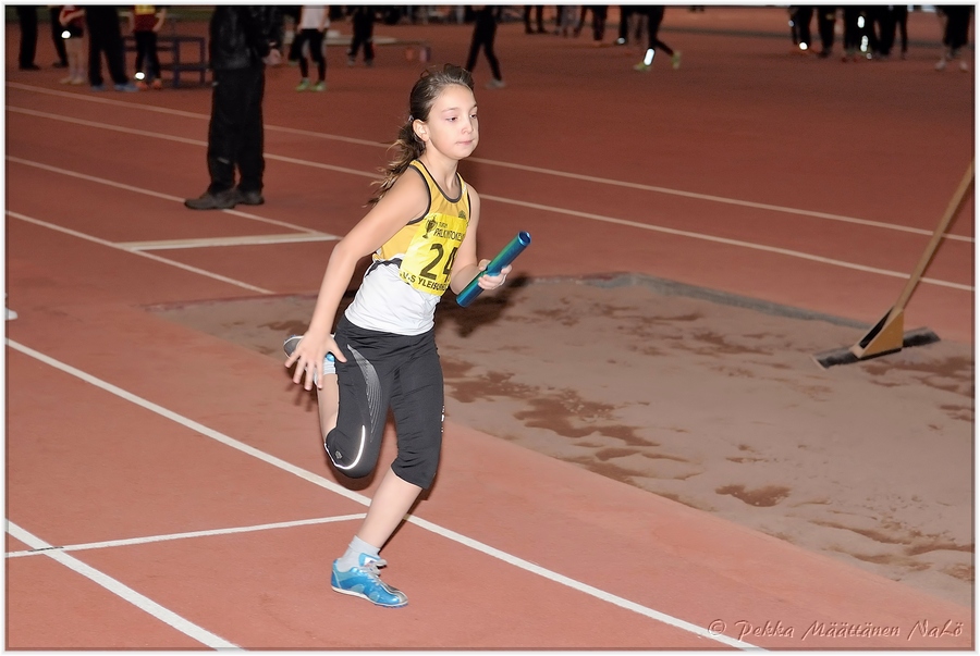 2013-01-23_pm-halliviestit (7).jpg