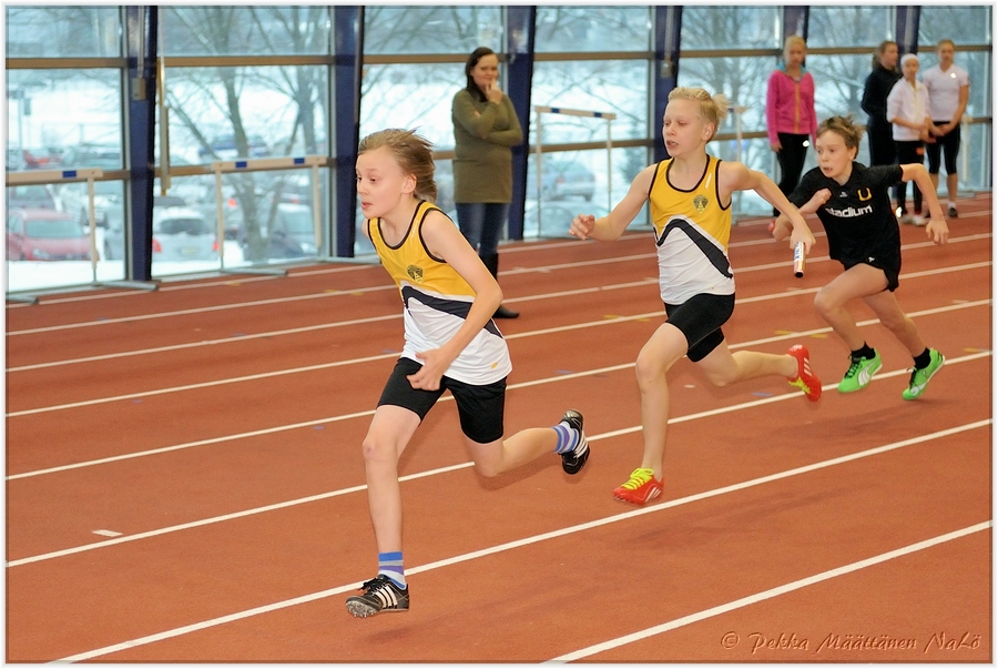 2013-01-23_pm-halliviestit (80).jpg