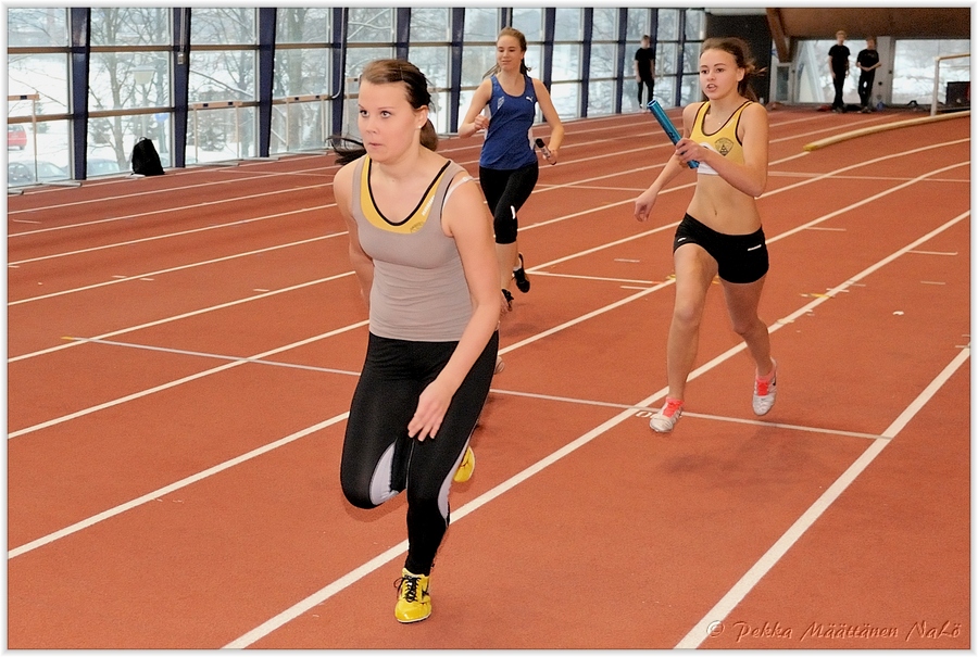 2013-01-23_pm-halliviestit (95).jpg