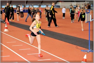 2013-01-23_pm-halliviestit (15).jpg