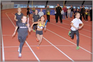 2013-01-23_pm-halliviestit (3).jpg