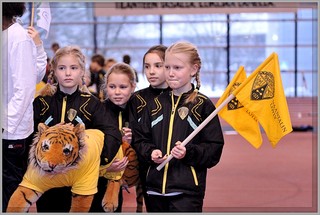 2013-01-23_pm-halliviestit (65).jpg