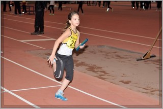 2013-01-23_pm-halliviestit (7).jpg