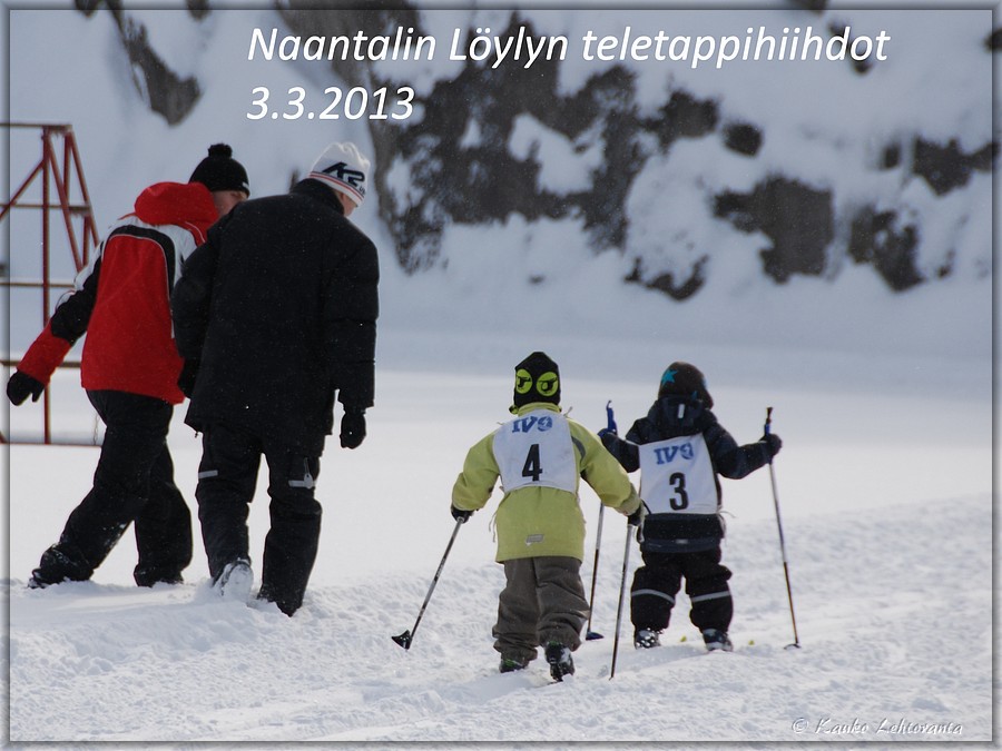 Otsikkodia-teletappihiihdot.jpg