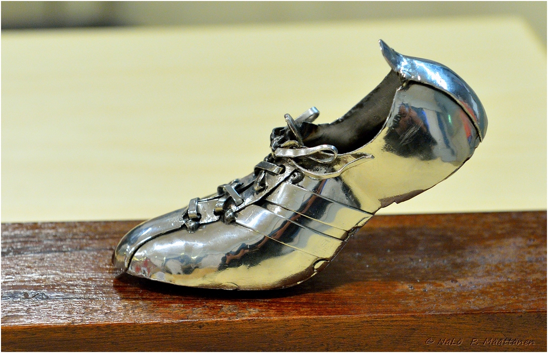 2015-11-22_ULKOKAUDEN_PAATTAJAISET (135).jpg