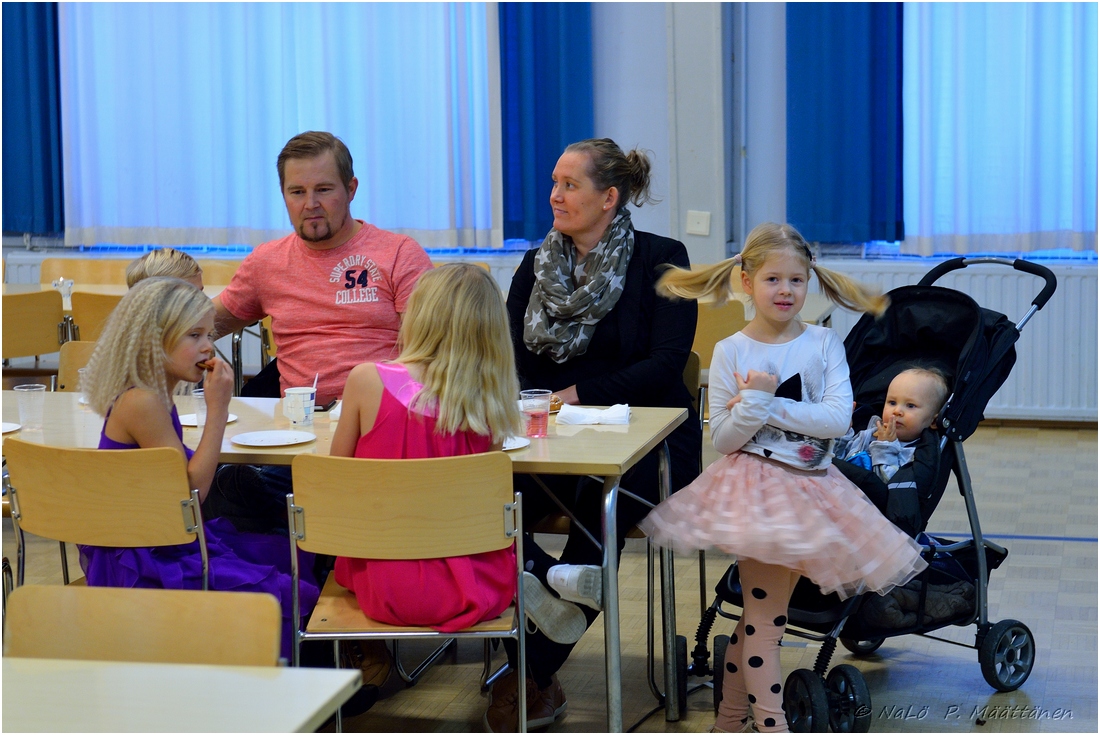 2015-11-22_ULKOKAUDEN_PAATTAJAISET (20).jpg