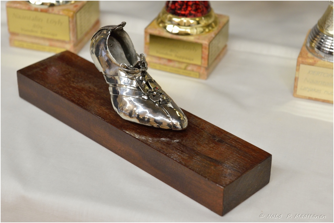 2015-11-22_ULKOKAUDEN_PAATTAJAISET (5).jpg