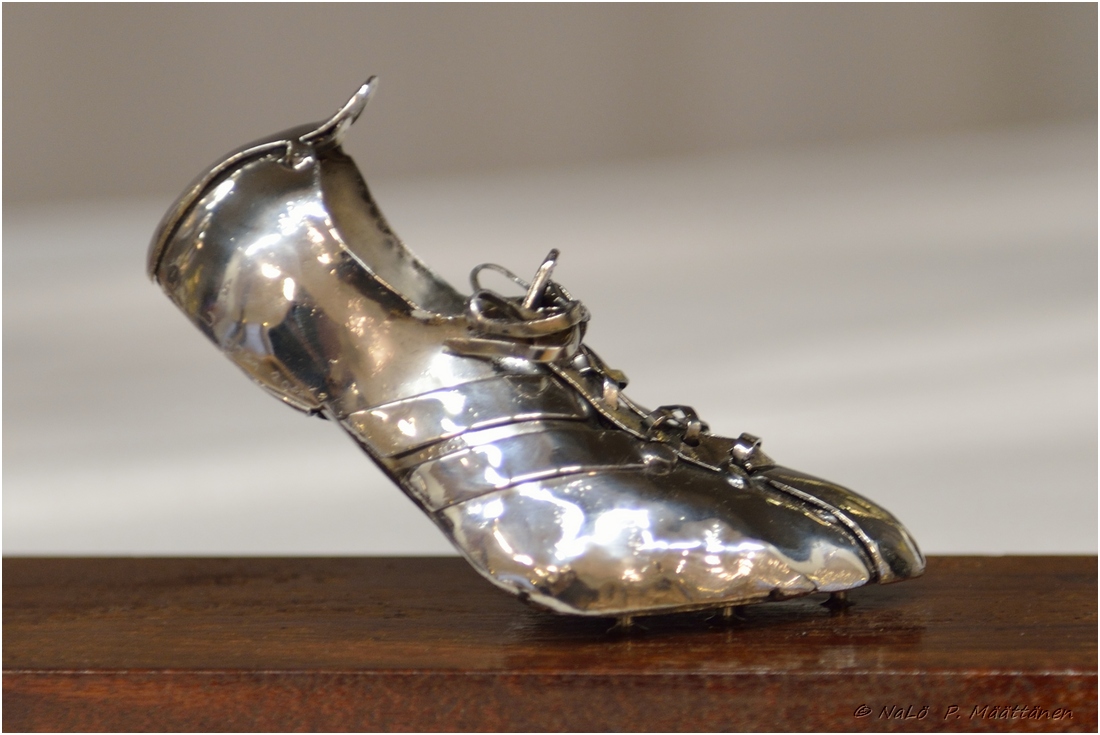 2015-11-22_ULKOKAUDEN_PAATTAJAISET (7).jpg