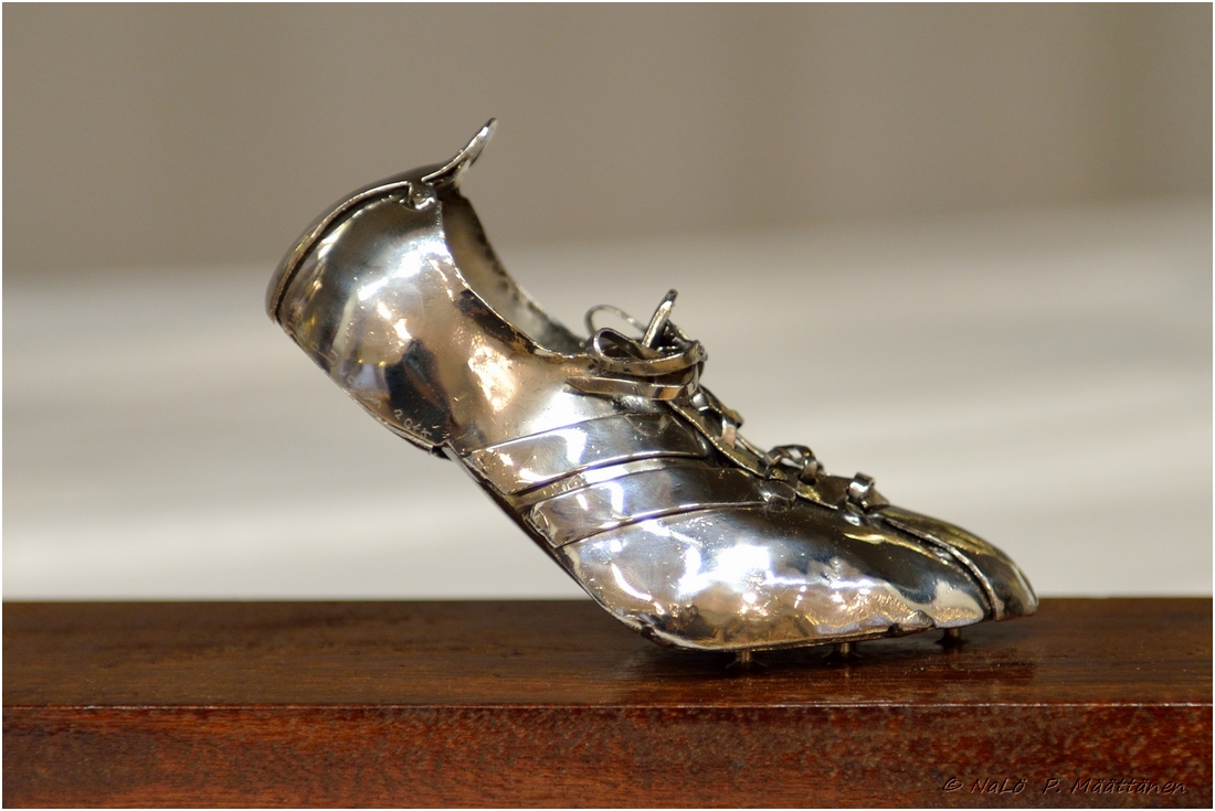 2015-11-22_ULKOKAUDEN_PAATTAJAISET (8).jpg