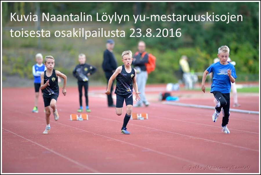 2016_Loylymestaruus-II_otysikkodia.jpg