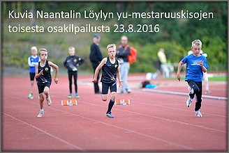 2016_Loylymestaruus-II_otysikkodia.jpg