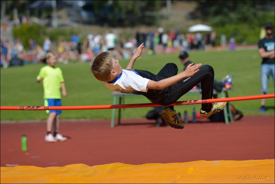 2017-07-23_Kuparivuoren_Kuninkaalliset-II (135).jpg