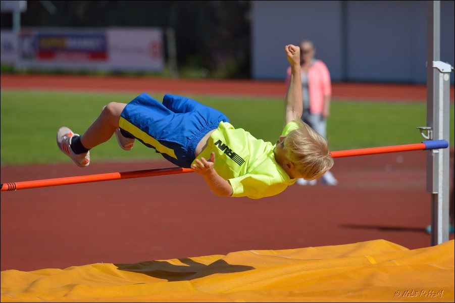 2017-07-23_Kuparivuoren_Kuninkaalliset-II (137).jpg