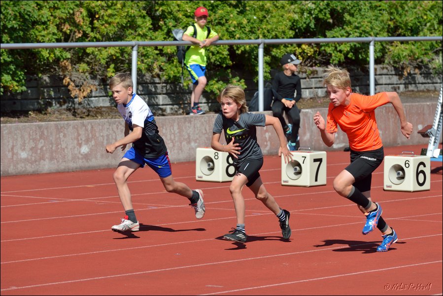 2017-07-23_Kuparivuoren_Kuninkaalliset-II (33).jpg