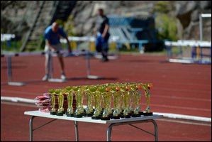 2017-07-23_Kuparivuoren_Kuninkaalliset-II (28).jpg