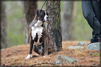 2017-04-02_Ulkokauden_Avajaiset (53).jpg