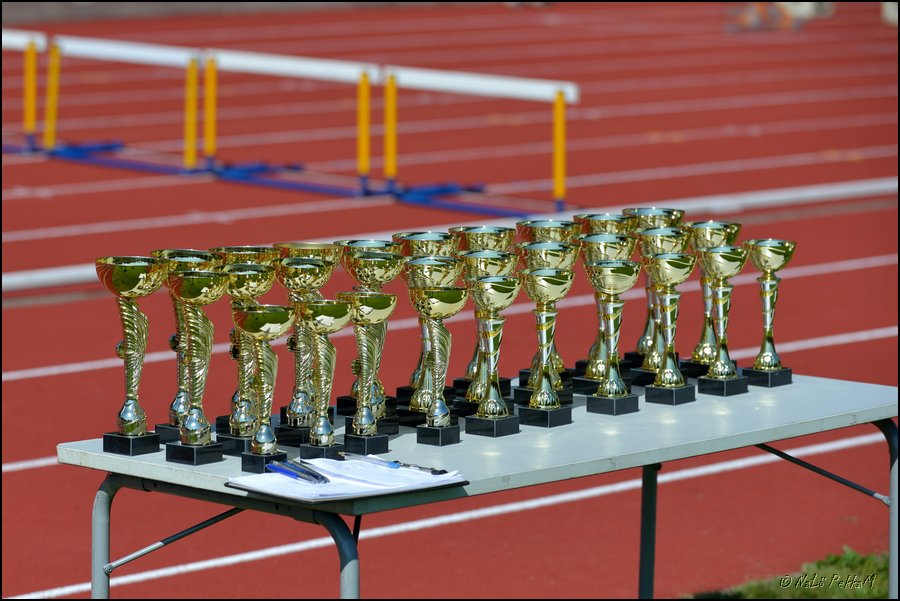 2018-07-22_Kuparivuoren_Kuninkaalliset-2 (1).jpg