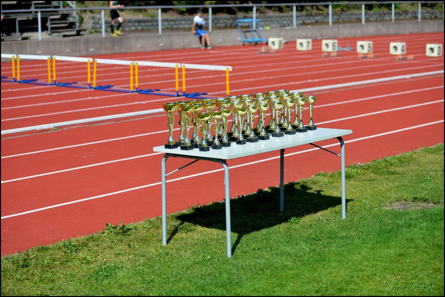 2018-07-22_Kuparivuoren_Kuninkaalliset-2 (2).jpg